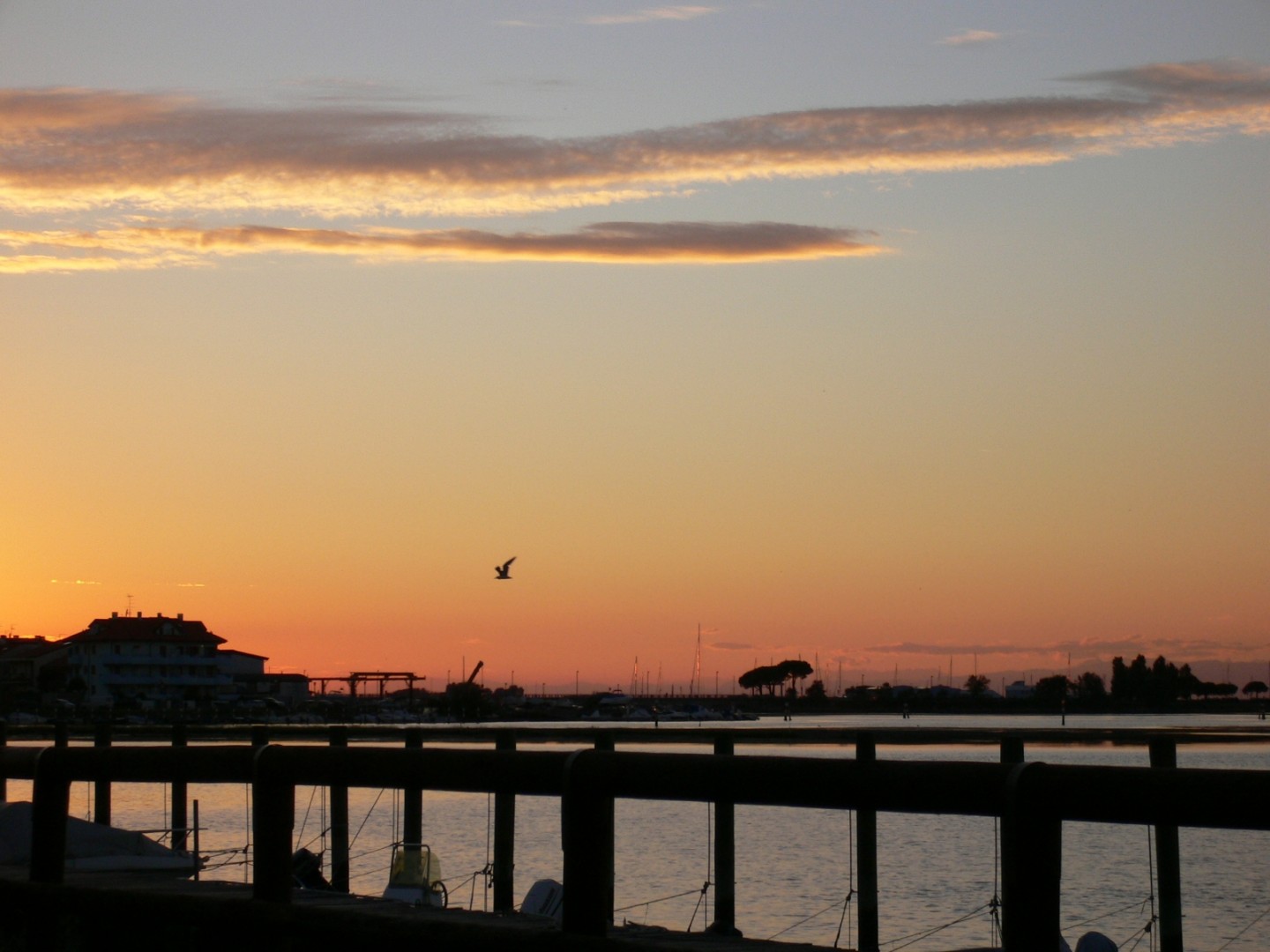 zsunset2